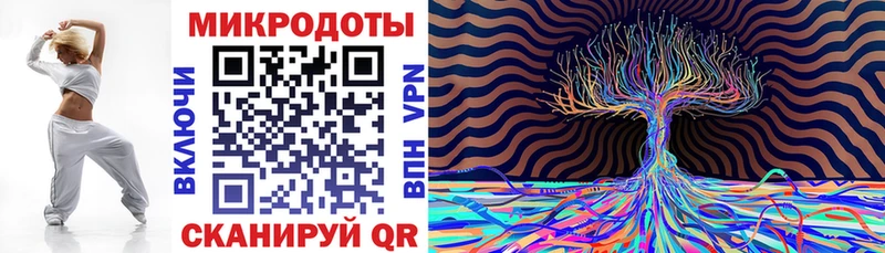 Псилоцибиновые грибы Psilocybine cubensis  mega как зайти  Бодайбо  купить закладку 